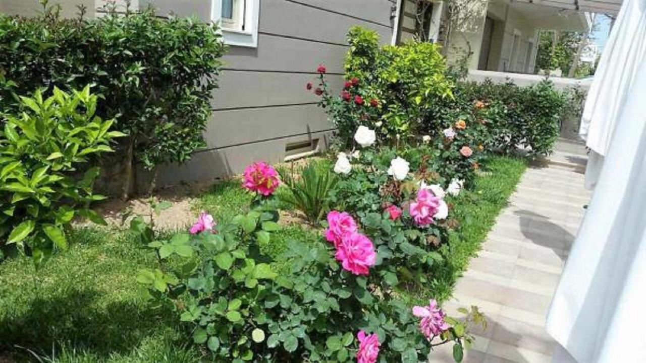 Maria'S Rose Garden Apartman Lefkáda Kültér fotó